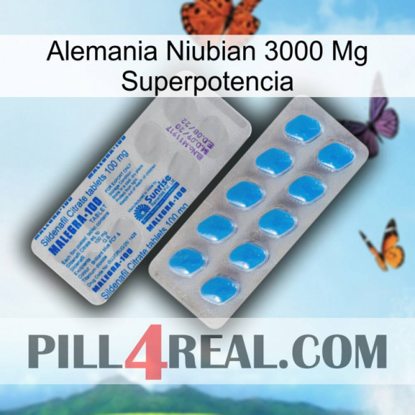 Germany Niubian 3000 Mg Superpower new15.jpg